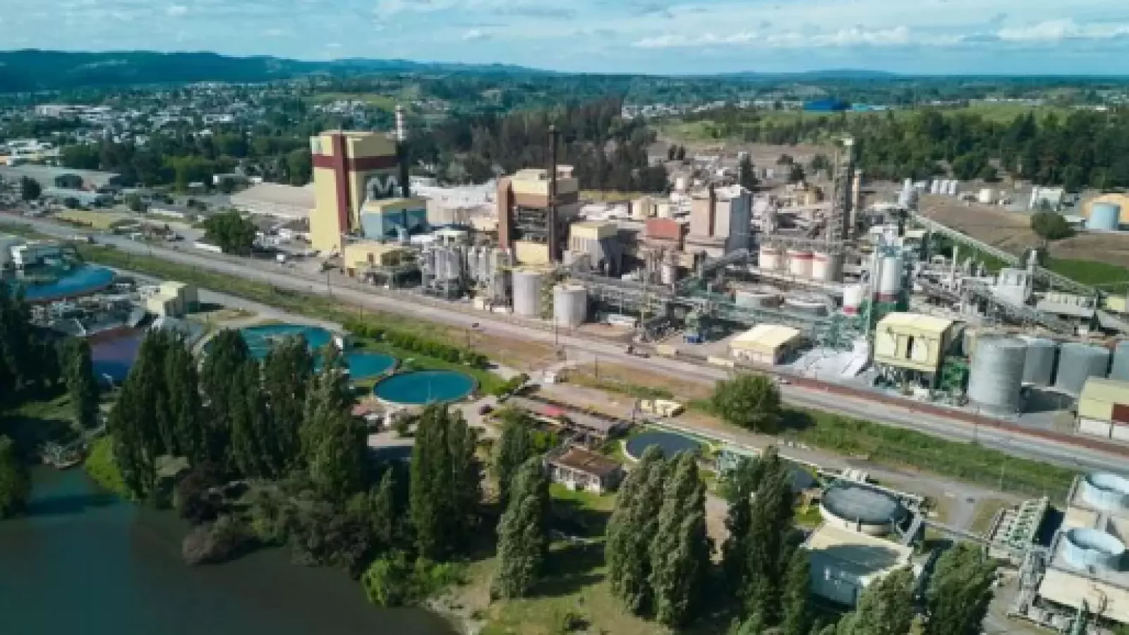 Trabajador muere al interior de la planta de la CMPC en Laja