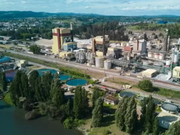 Trabajador muere al interior de la planta de la CMPC en Laja