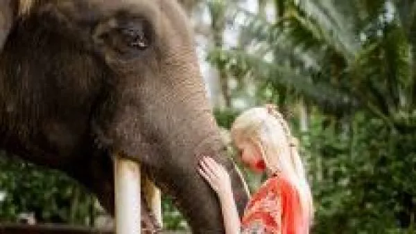 Fin a una polémica práctica: Indonesia prohíbe paseos en elefante