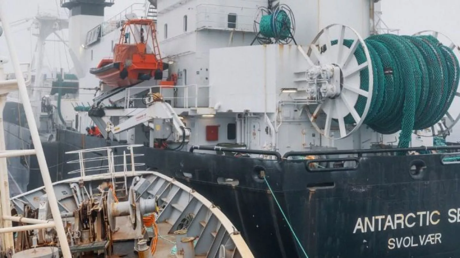 Activan operativo naval en la Antártica por choque entre buque ambientalista y pesquero noruego