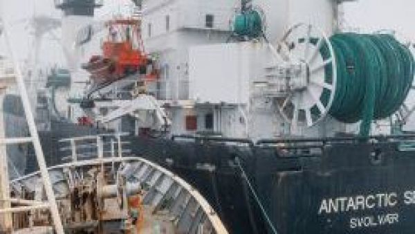 <p>Activan operativo naval en la Antártica por choque entre buque ambientalista y pesquero noruego</p>Activan operativo naval en la Antártica por choque entre buque ambientalista y pesquero noruego
