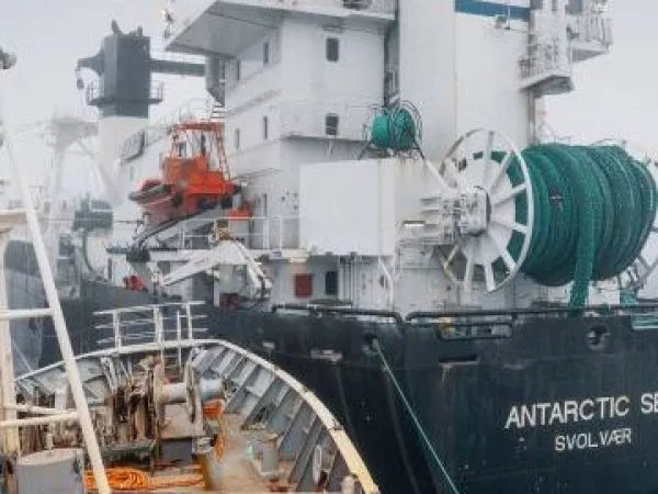 Activan operativo naval en la Antártica por choque entre buque ambientalista y pesquero noruego