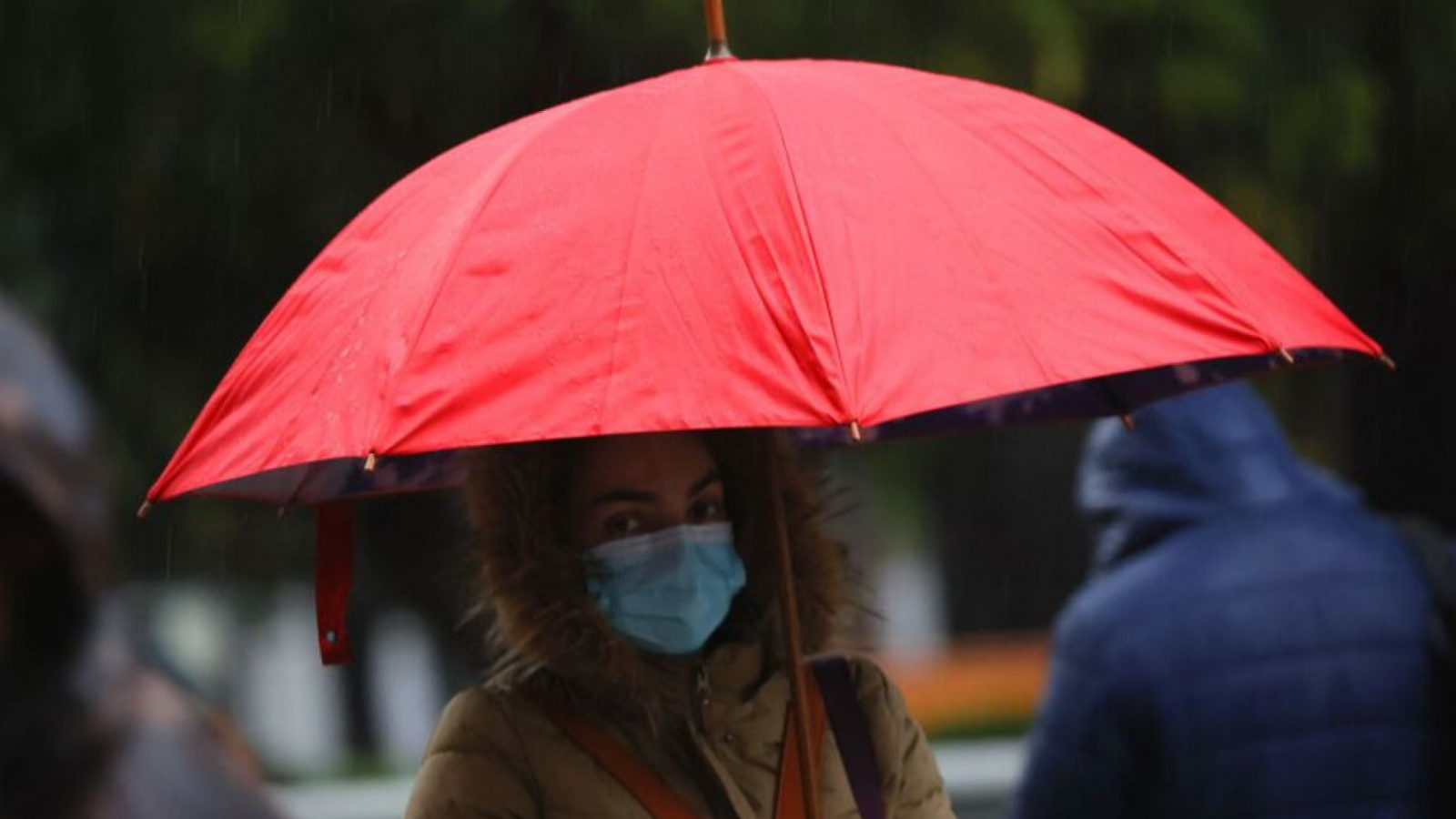 <p>El Niño en Chile: estas son las regiones donde podría llover hasta 72 horas seguidas</p>
