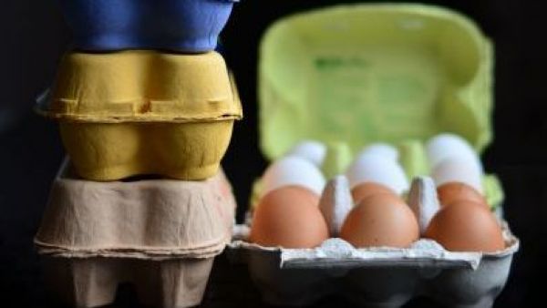 Bandeja de huevos supera los $10 mil: precios subirían hasta un 10% por crisis del petróleo
