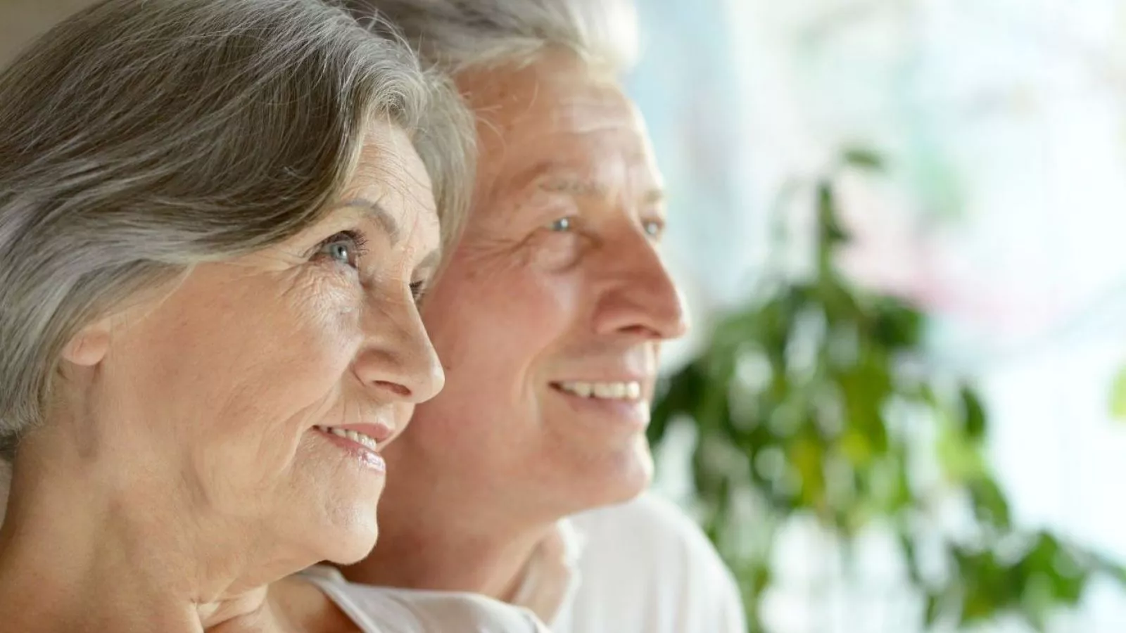 Bono Bodas de Oro 2026: conoce el monto y los requisitos para acceder al beneficio