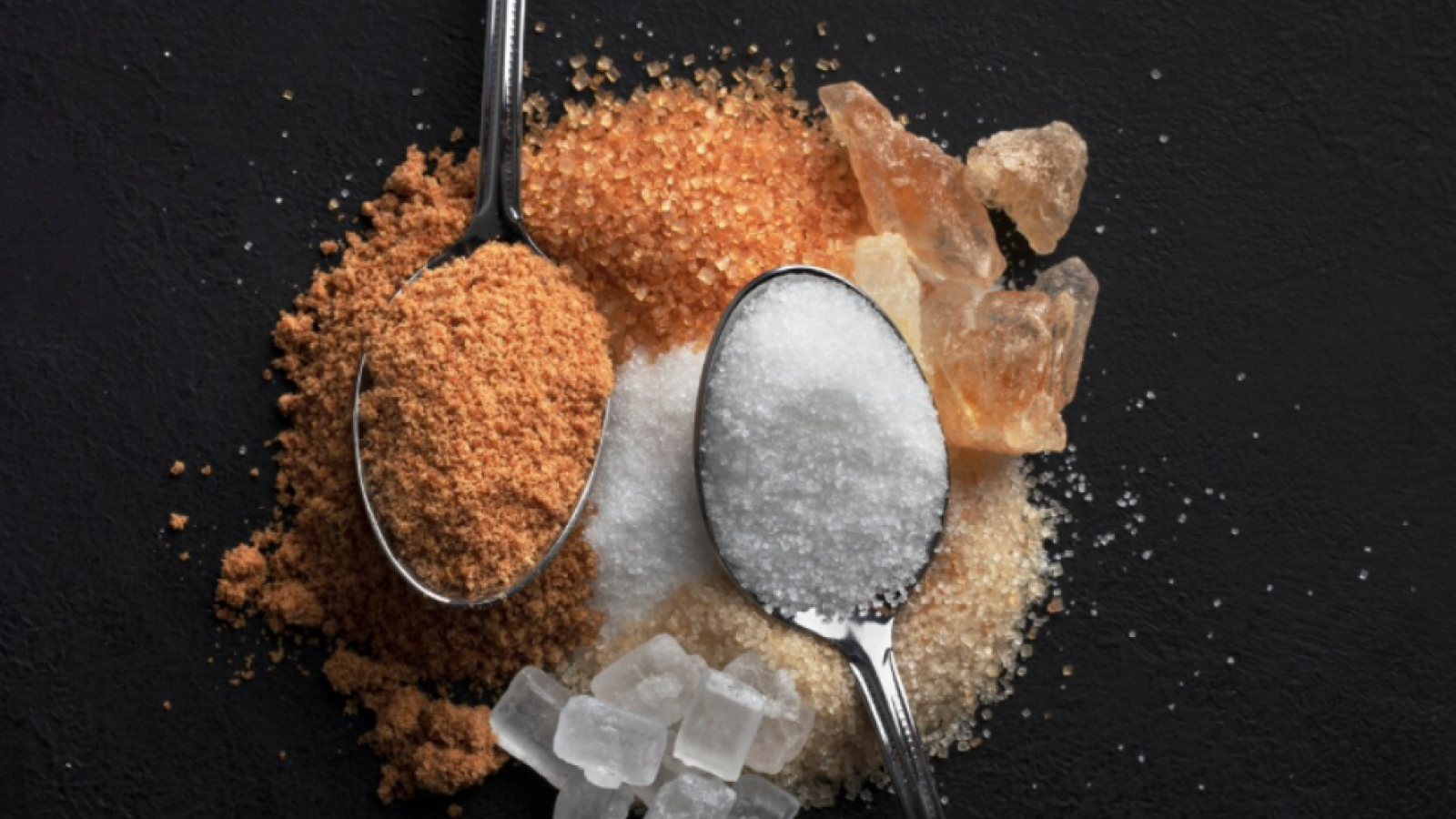 Investigación de la U. de Chile asegura que edulcorantes alteran metabolismo y microbiota hasta en nietos
