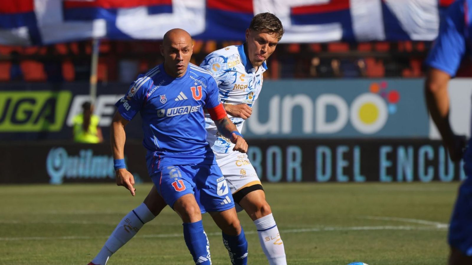 Everton vs. Universidad de Chile: sigue aquí EN VIVO y ONLINE el partido
