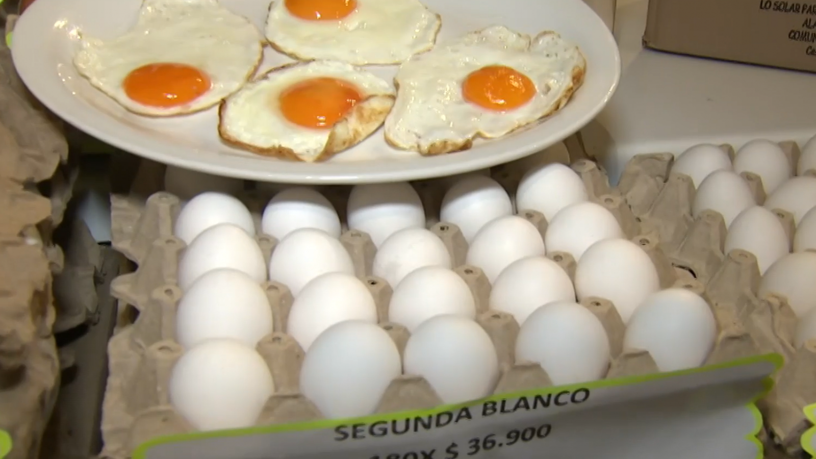 ¿Cómo reconocer un huevo en buen estado?
