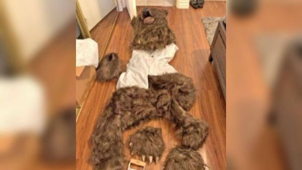 <p>Insólito fraude en California: sujetos usaban disfraces de oso para destruir vehículos y cobrar seguros</p>Insólito fraude en California: sujetos usaban disfraces de oso para destruir vehículos y cobrar seguros
