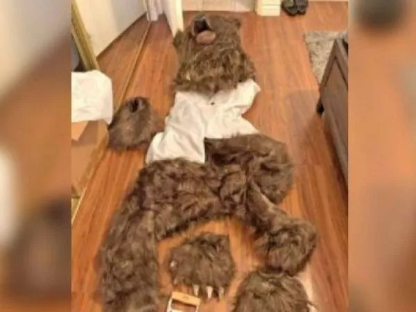 Insólito fraude en California: sujetos usaban disfraces de oso para destruir vehículos y cobrar seguros