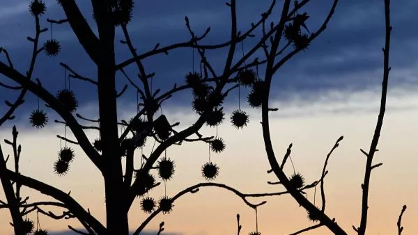 Anuncian heladas entre Valparaíso y Biobío con mínimas bajo cero