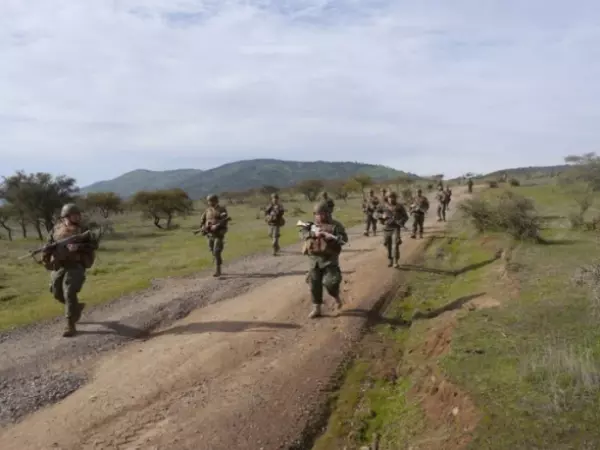 Ejército despliega búsqueda por conscripto desaparecido en el Maule