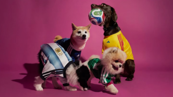 <p>Perros con camisetas del mundial de fútbol</p>Famosa marca deportiva diseñó camisetas del Mundial de Fútbol para perros
