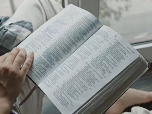 ¿Qué dice el manuscrito 