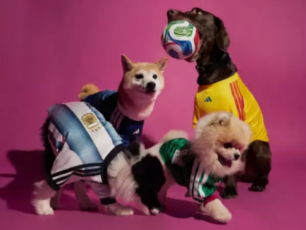 Perros con camisetas del mundial de fútbol