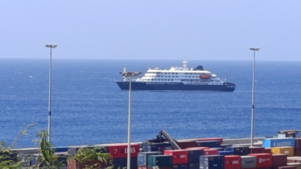 Pasajeros de crucero contagiados: ¿Qué es la cepa Andes del virus Hanta?
