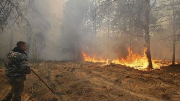 <p>Grave incendio cerca de Chernóbil mantiene en alerta a Ucrania</p>Grave incendio cerca de Chernóbil mantiene en alerta a Ucrania

