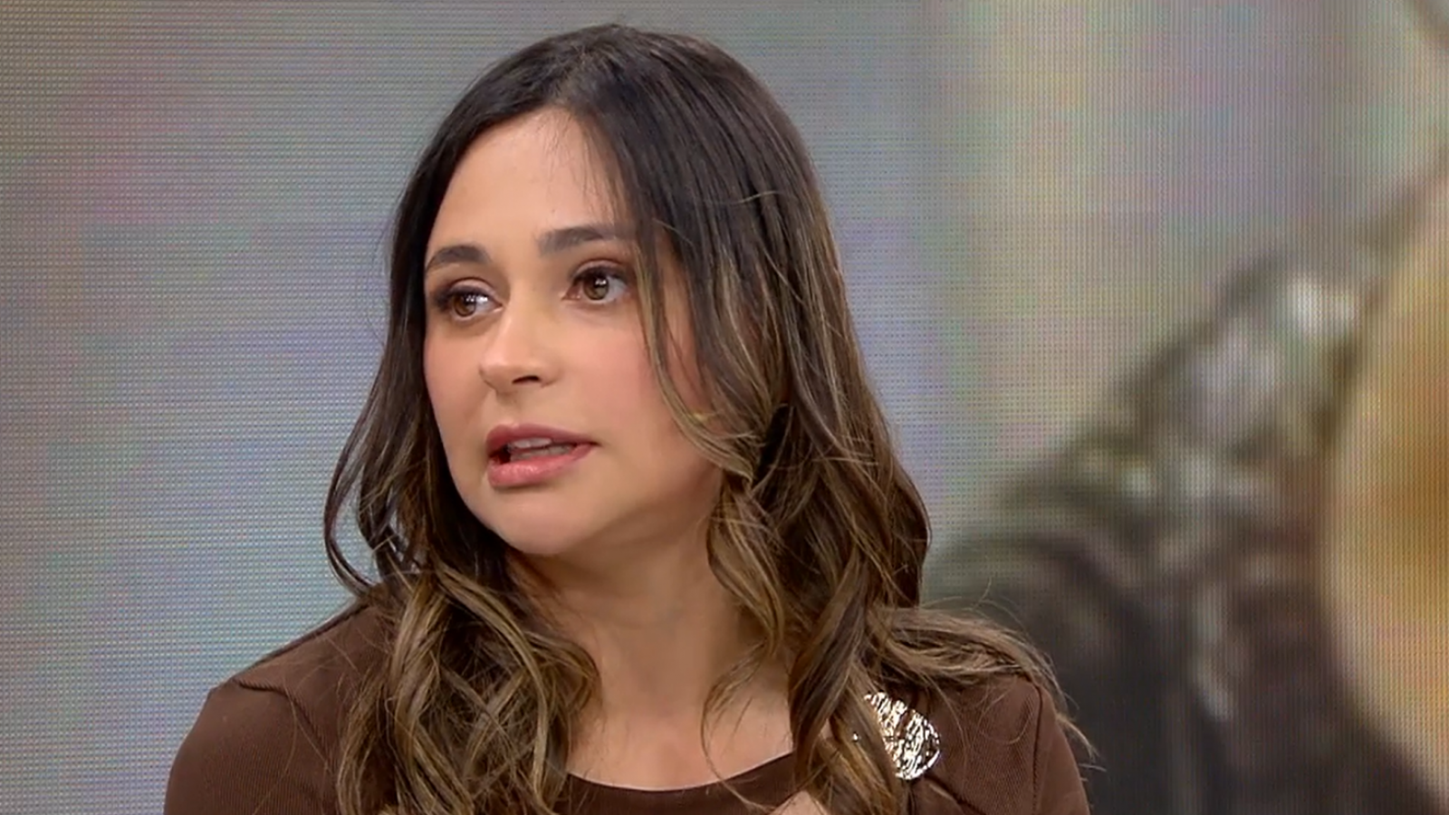 "Su actitud es sospechosa": Nieta de María Ercira emplaza a dueña del Fundo Las Tórtolas tras abandonar Chile
