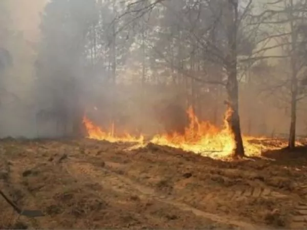 Grave incendio cerca de Chernóbil mantiene en alerta a Ucrania