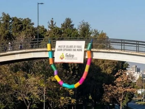 adopción niños Chile