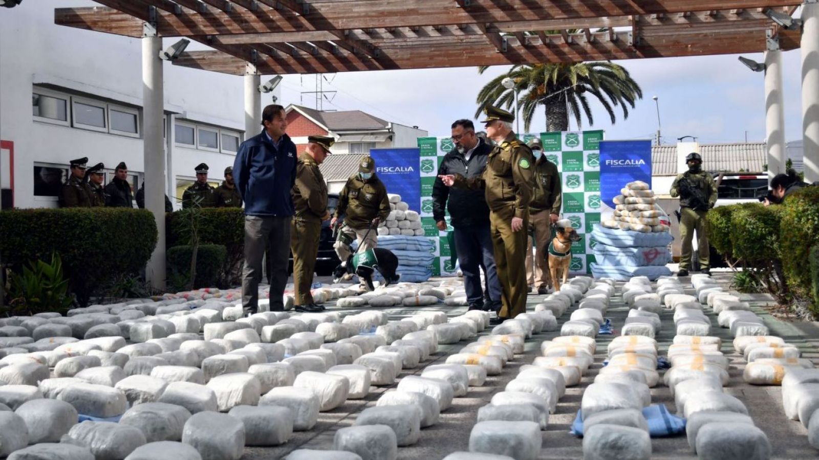 Coquimbo: acceso a cuentas y teléfonos marcarán etapa tras decomiso de droga
