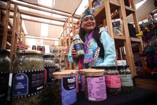 <p>Taller Juntas Crecemo: apoyo a mujeres emprendedoras</p>Taller Juntas Crecemos: Cómo postular el beneficio que entrega financiamiento a mujeres emprendedoras
