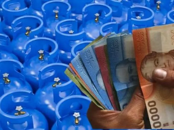 ¿Quiénes pueden recibir el subsidio al gas licuado 2026?
