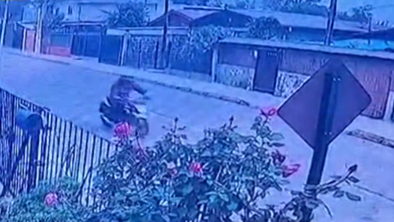 <p>Motochorro terminó atropellado tras intentar asaltar a una mujer en Independencia</p>
