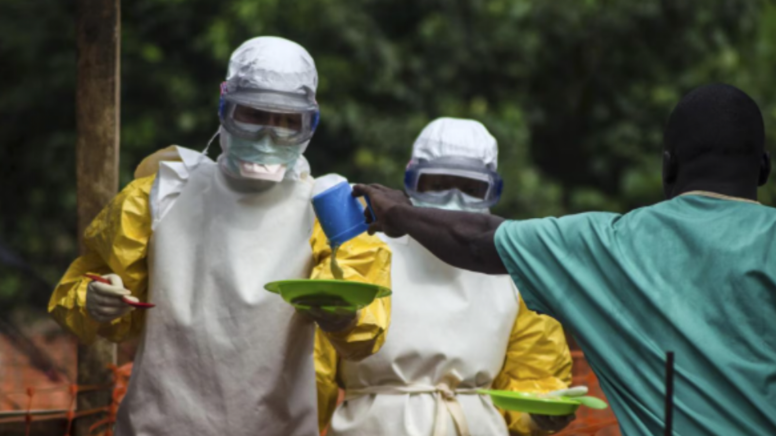 Brote de ébola deja al menos 65 fallecidos en la República Democrática del Congo
