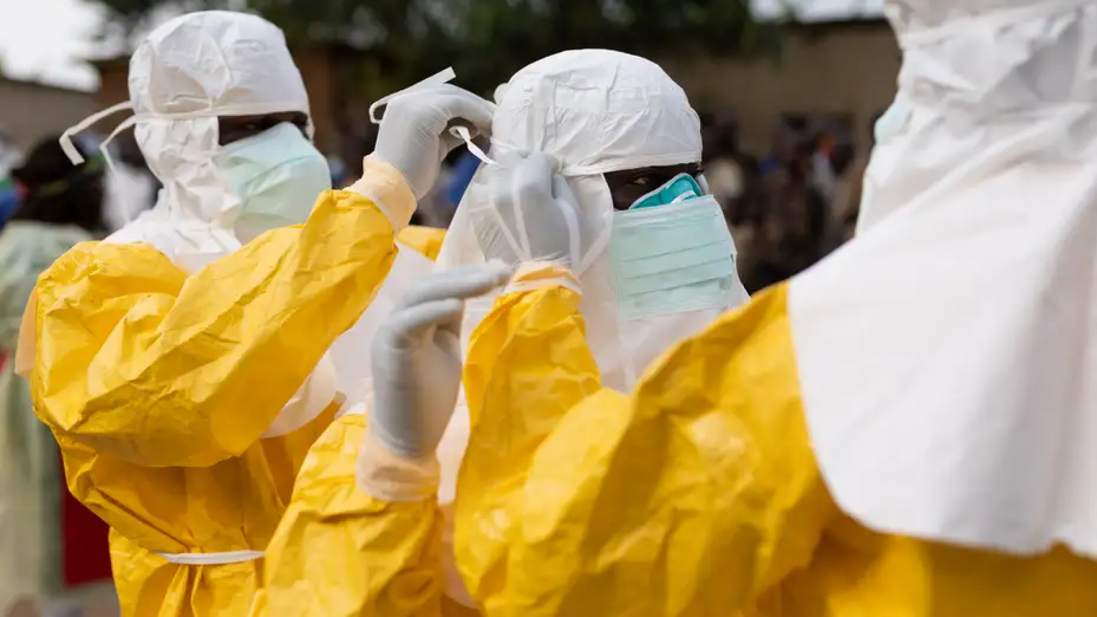 <p>OMS moviliza expertos tras nuevo brote de ébola en la República Democrática del Congo</p>
