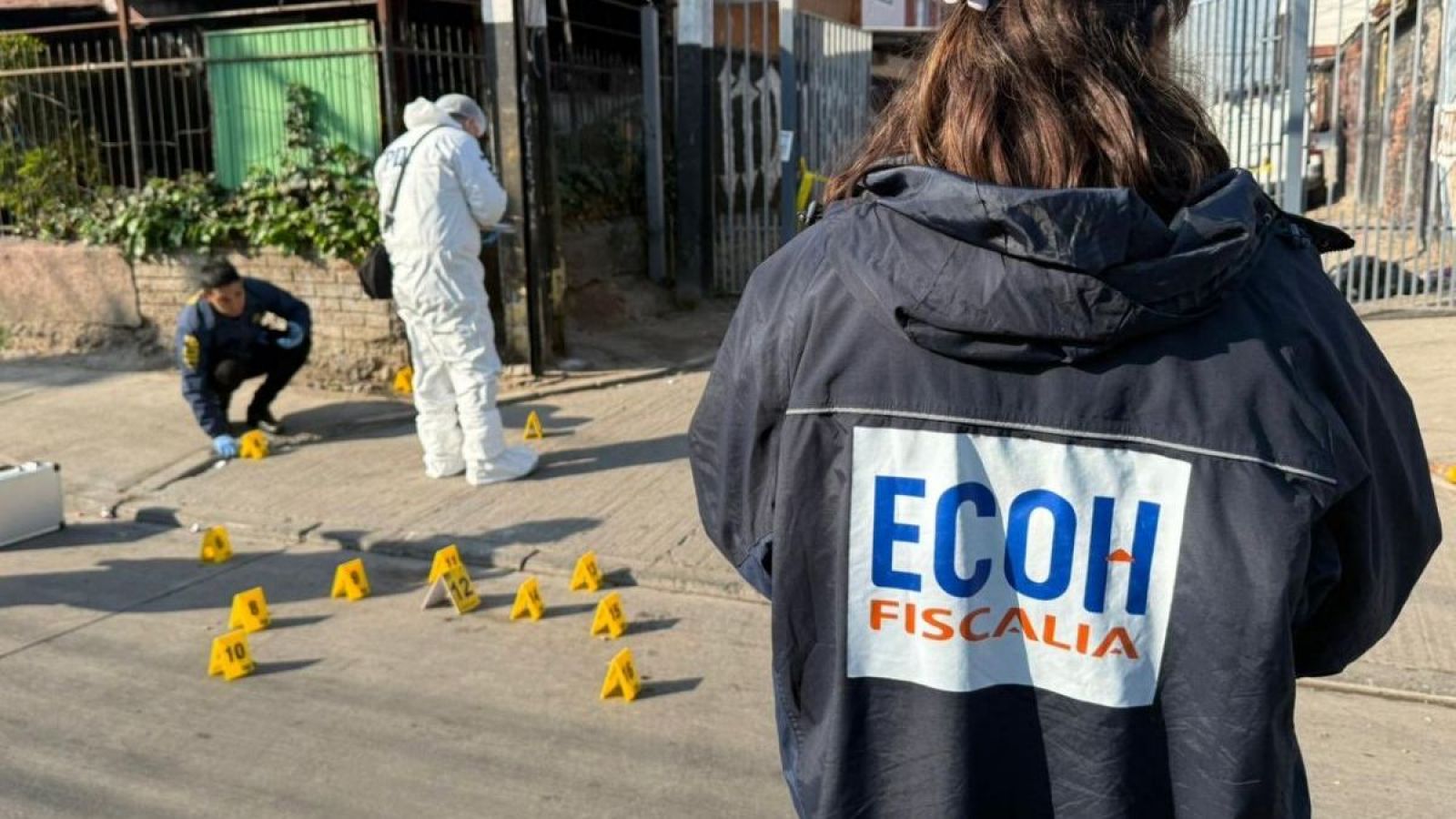 Hombre fue asesinado en plena vía pública en La Pintana
