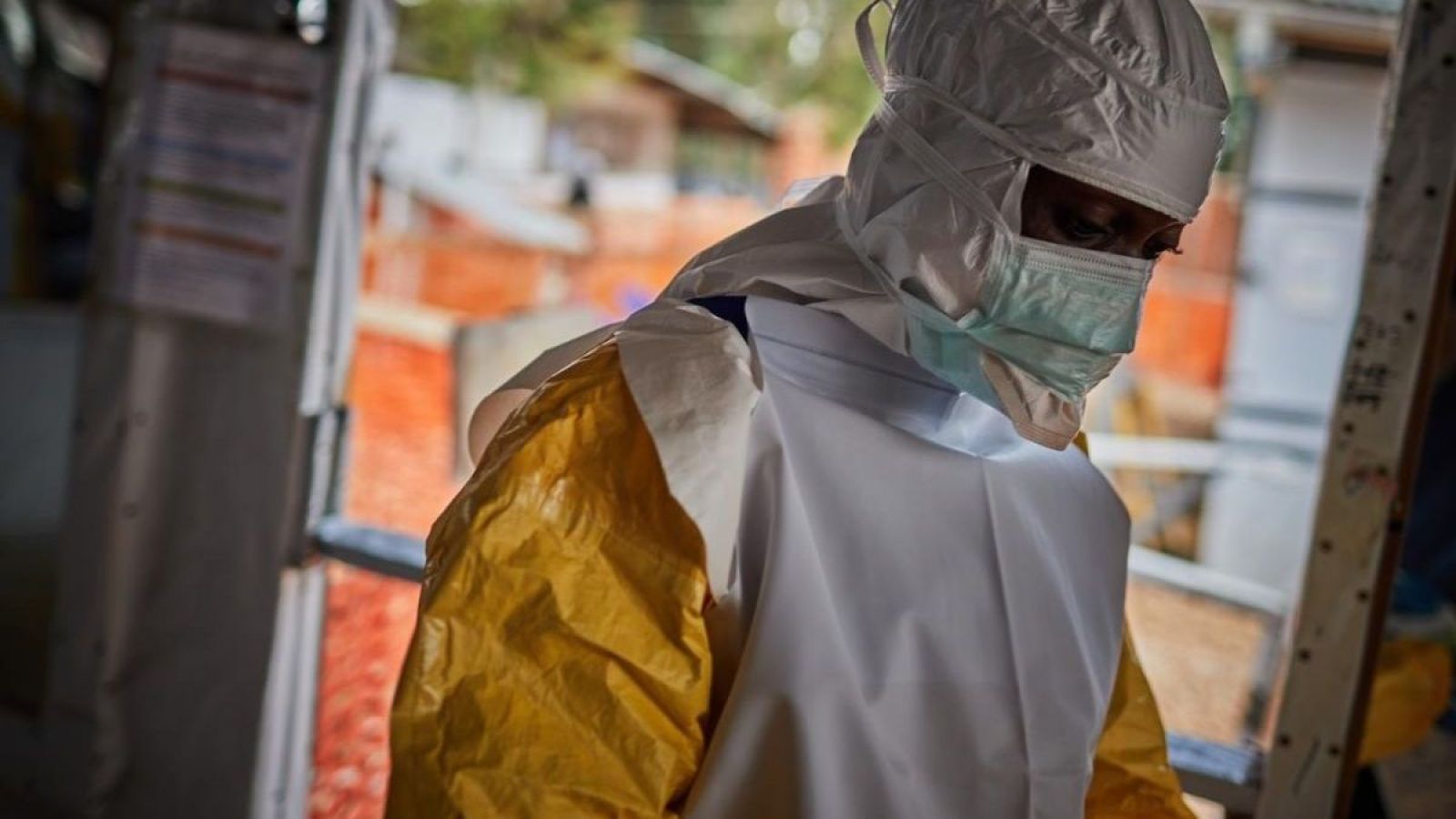 OMS declaró emergencia internacional por brote de ébola en África
