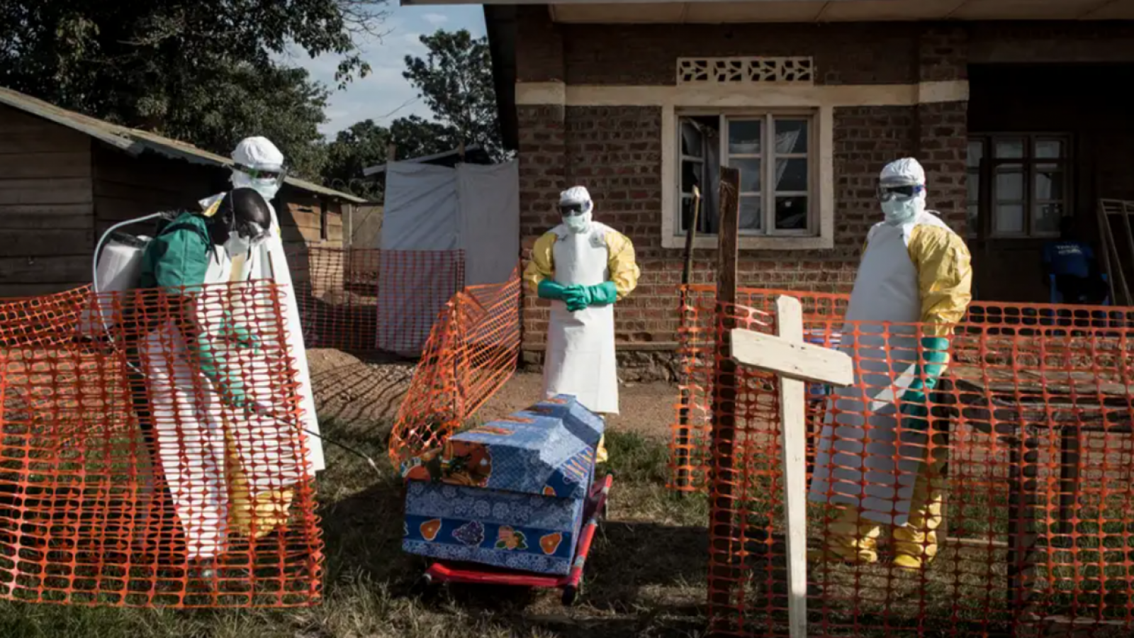 <p>Aumentan a 116 los muertos por brote de ébola en la República Democrática del Congo</p>
