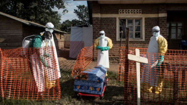 <p>Aumentan a 116 los muertos por brote de ébola en la República Democrática del Congo</p>Aumentan a 116 los muertos por brote de ébola en la República Democrática del Congo
