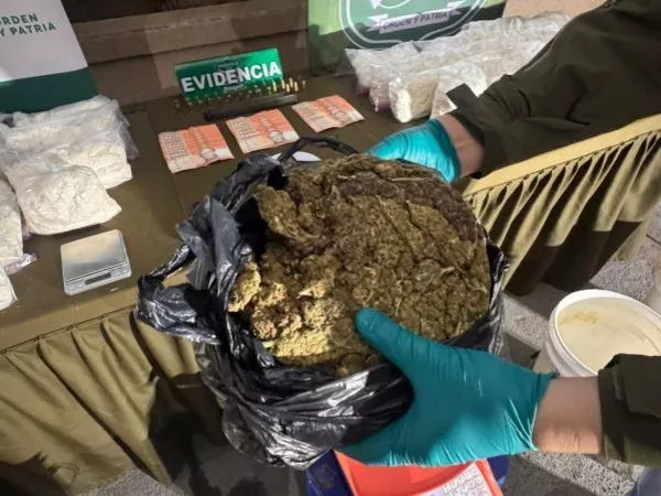 Decomisan más de 40 kilos de droga en la Región del Biobío