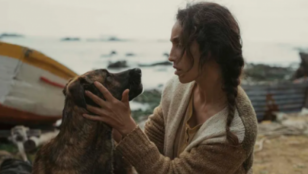 Perrita rescatada gana premio Palm Dog en Cannes
