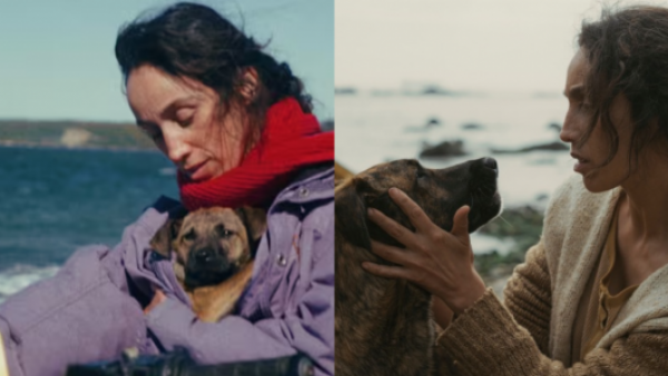 <p>Orgullo chileno en Cannes: perrita nacional fue reconocida con importante galardón</p>Orgullo chileno en Cannes: perrita nacional fue reconocida con importante galardón
