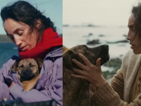 Orgullo chileno en Cannes: perrita nacional fue reconocida con importante galardón