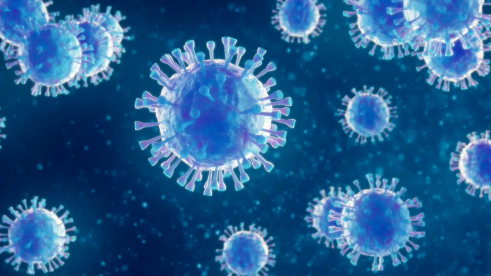 Confirman sexto caso de virus Hanta en la región de Ñuble
