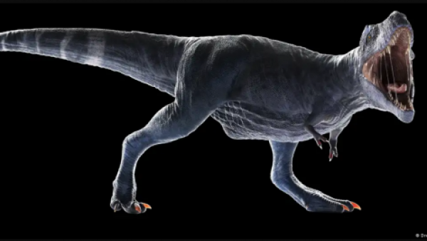 <p>El misterio de los bracitos del "T. Rex" tiene respuesta</p>El misterio de los bracitos del "T. Rex" tiene respuesta
