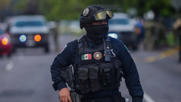 <p>México captura a sobrino de "El Chapo" solicitado por EE.UU.</p>México captura a sobrino de "El Chapo" solicitado por EE.UU.

