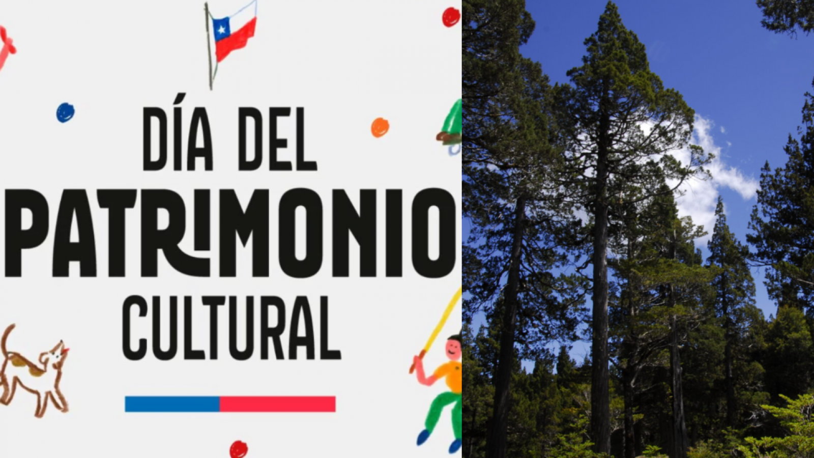 <p>Conaf Los Ríos celebrará Día del Patrimonio con entrada gratuita a parques</p>
