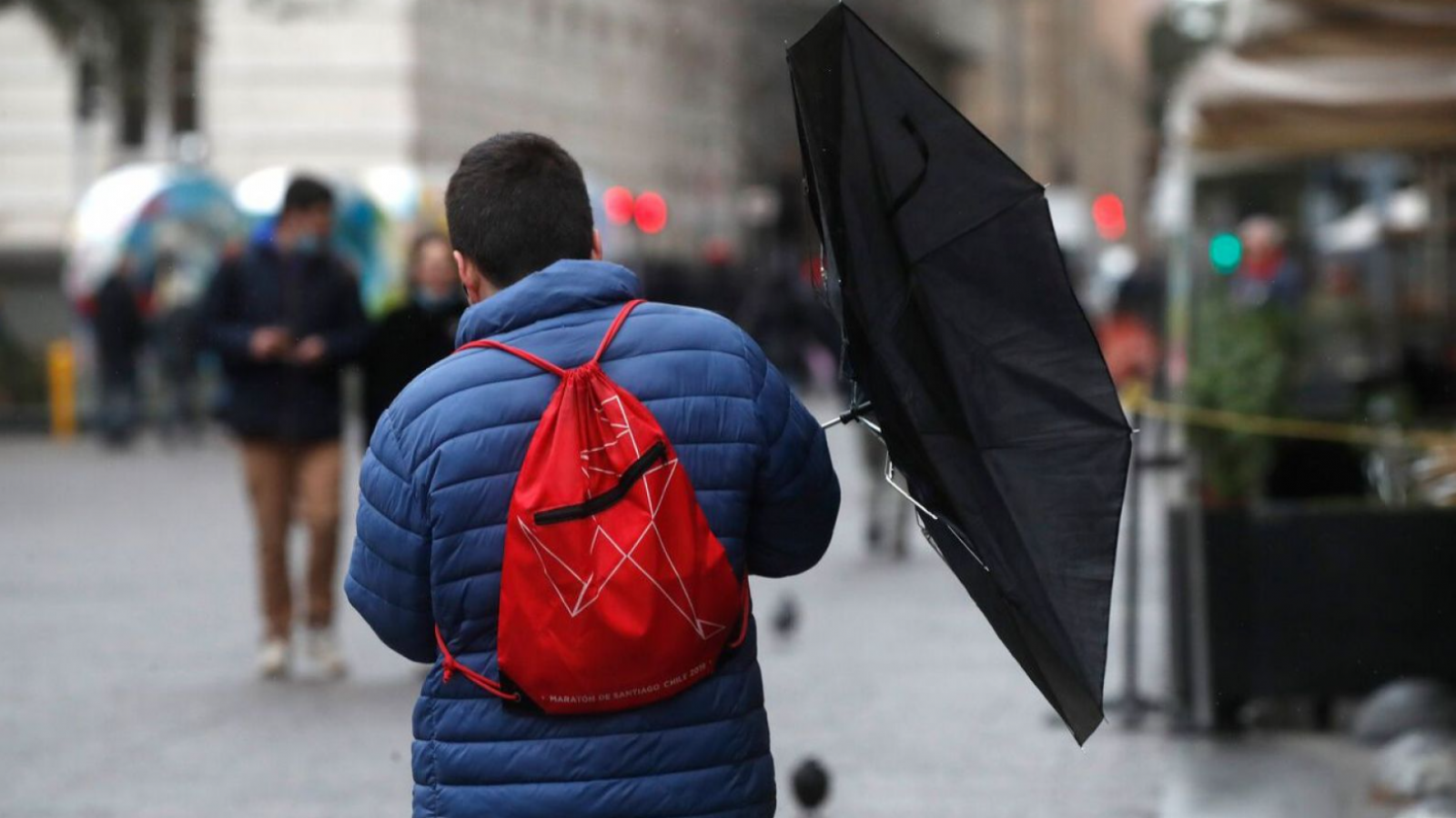 <p>Alerta por viento: estas son las 5 regiones que enfrentarán ráfagas de hasta 70 km/h</p>
