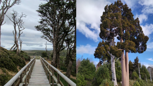 <p>Día del Patrimonio: revisa qué parques de Conaf tendrán entrada gratis</p>Día del Patrimonio: revisa qué parques de Conaf tendrán entrada gratis
