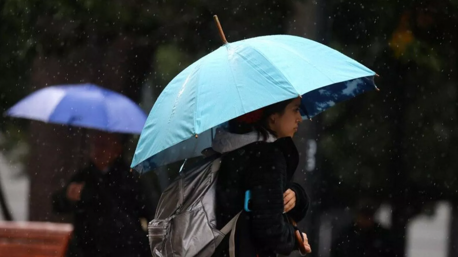 <p>Se acerca la lluvia: revisa qué regiones serán afectadas la próxima semana</p>
