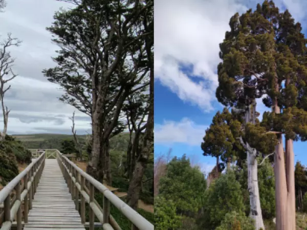 Día del Patrimonio: revisa qué parques de Conaf tendrán entrada gratis