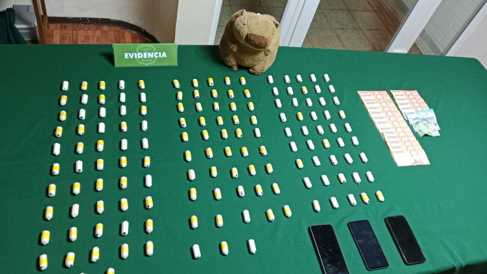 Dos mujeres escondían ovoides de cocaína en un tierno peluche de capibara
