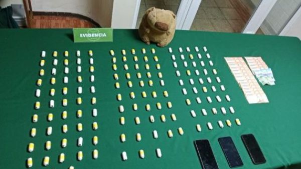 Dos mujeres escondían ovoides de cocaína en un tierno peluche de capibara
