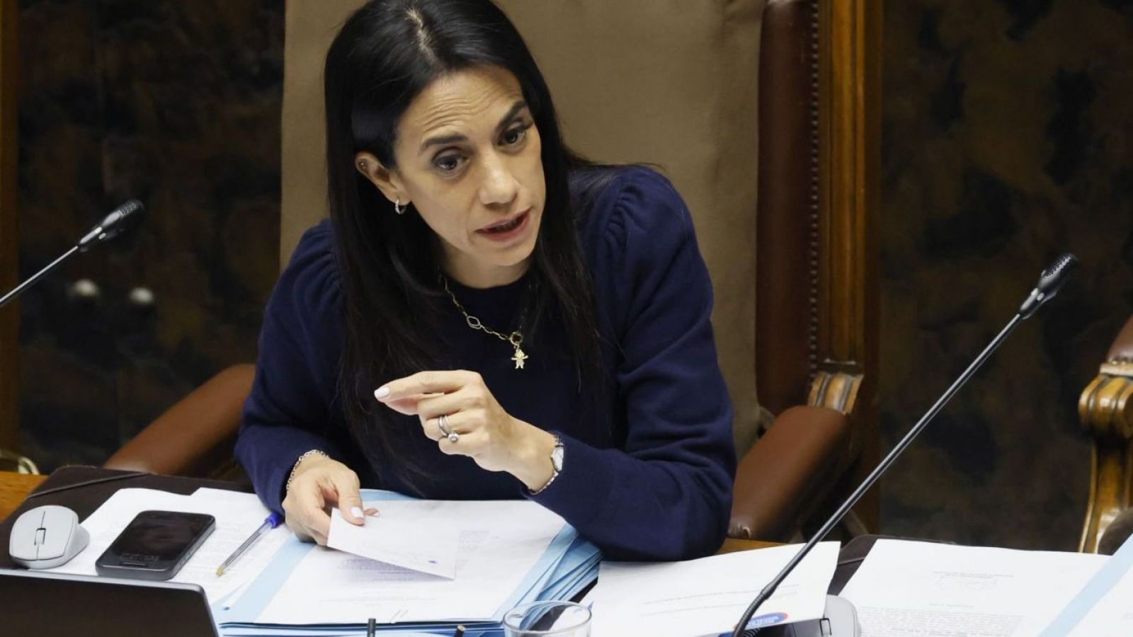 Presidenta del Senado califica como "inoportuna" y "mala señal" AC contra Grau
