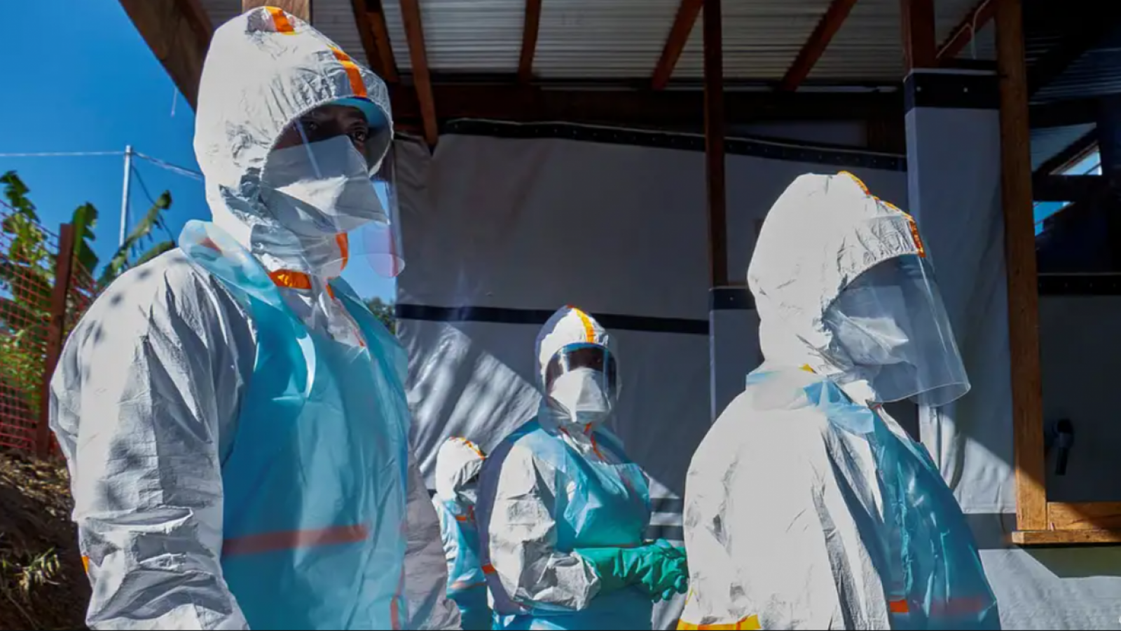 <p>Descartan segundo caso sospechoso de ébola en Brasil</p>
